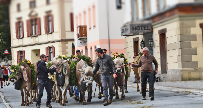 Alpabzug Umzug Zernez 2019 