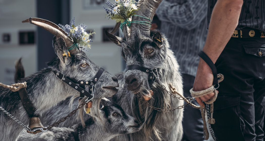 Festumzug agrischa 2023