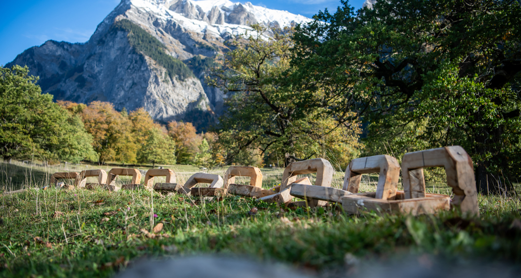 Holzkette vor dem Falknis (© Graubünden Holz) Holzkette vor dem Falknis