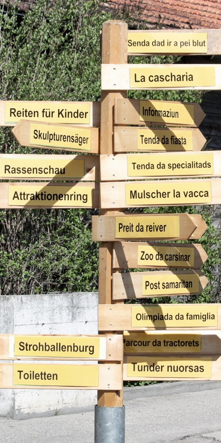Es gibt viel zu sehen: Wegweiserbaum (Foto: ©agrischa) Wegweiserbaum