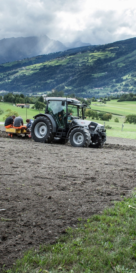 Kartoffelsaat im Domleschg (© Gaudenz Danuser) Kartoffelsaat im Domleschg