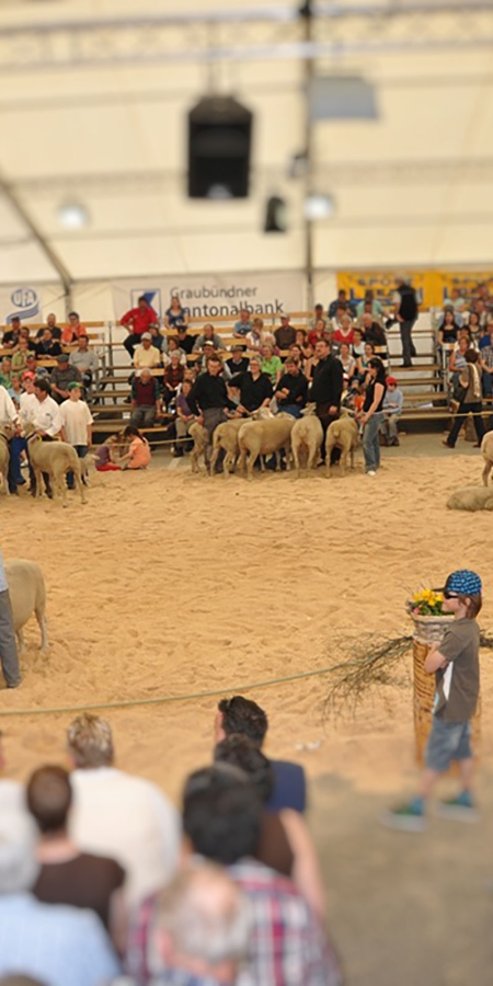 Interregiocup anlässlich Agrischa Ilanz (© BBV) Interregiocup anlässlich Agrischa Ilanz