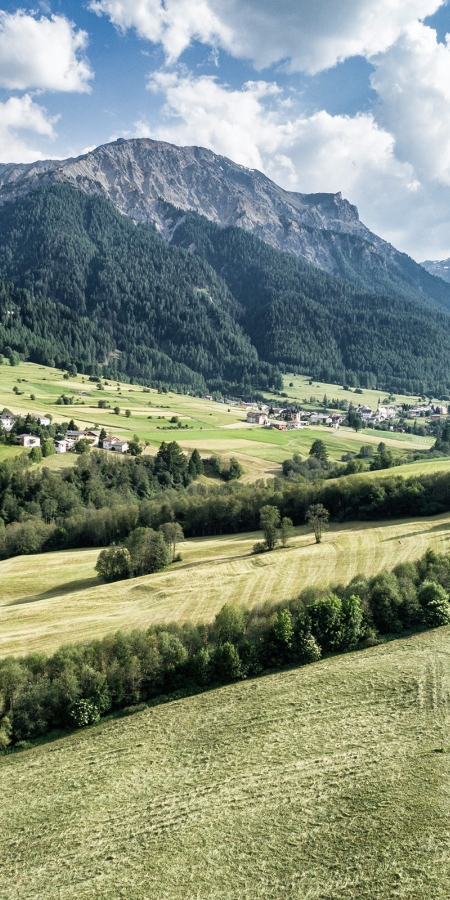 Blick ins sommerliche Münstertal (© Gaudenz Danuser) Blick ins sommerliche Münstertal