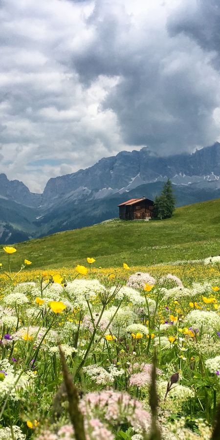 Stelserberg mit Blick auf die Rätikonkette