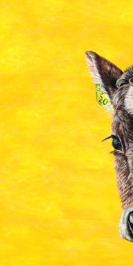 Key Visual agrischa 2024 von Aurelia Patigler Davos Monstein