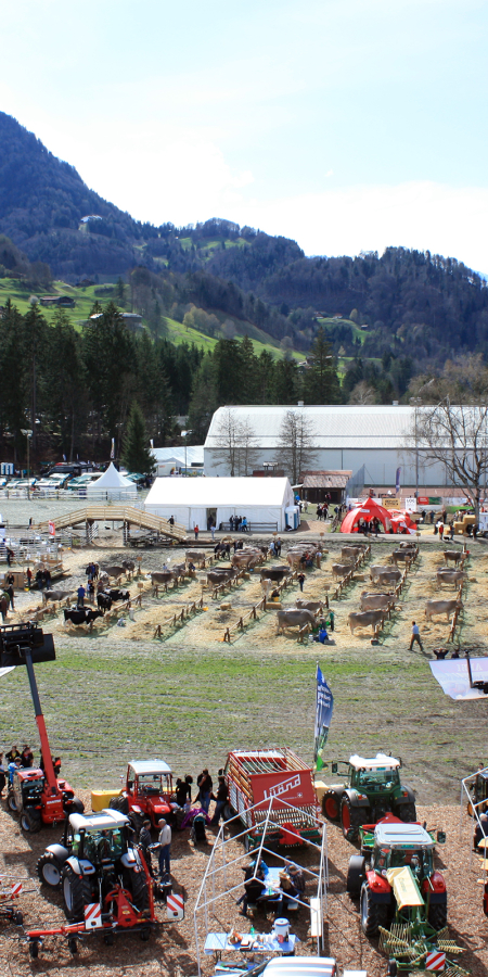 Festgelände agrischa 2012 in Grüsch