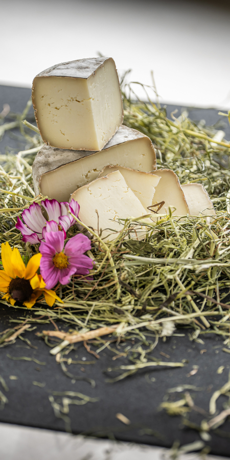 Genuss Pur: Käse aus Graubünden!
