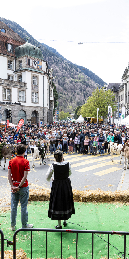 agrischa 2025 Postplatz Lieblingstierwettbewerb