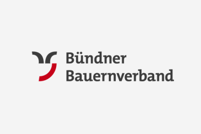 Logo BBV Logo BBV