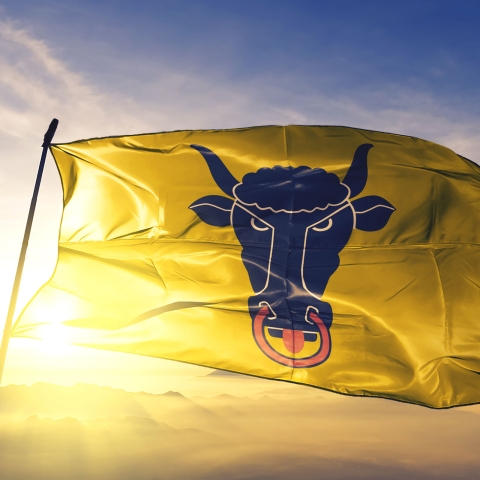 Fahne Uri Stier (© AdobeStock 265717351) Fahne Uri Stier