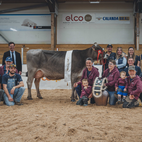 Miss agrischa 2024 ALINA aus dem Stall Schamaun 