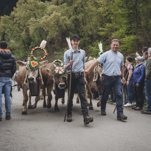 Alpaufzug agrischa 2024 Grüsch
