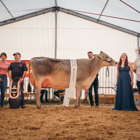 Miss agrischa 2026 Noggler's Brice BELINDA L. Noggler, Sent