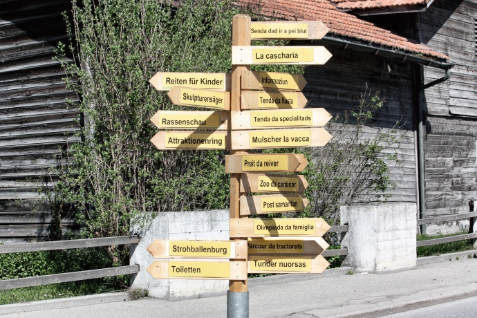 Es gibt viel zu sehen: Wegweiserbaum (Foto: ©agrischa) Wegweiserbaum