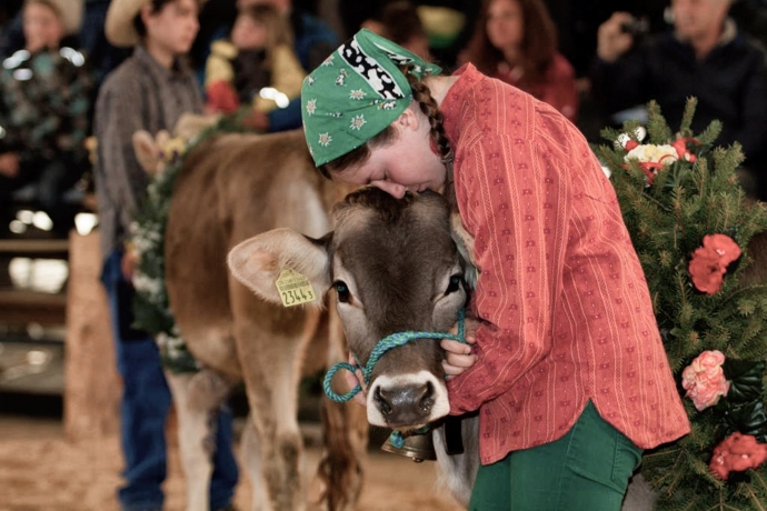 Mädchen mit ihrem Lieblingskalb (Foto: ©agrischa) Mädchen mit ihrem Lieblingskalb