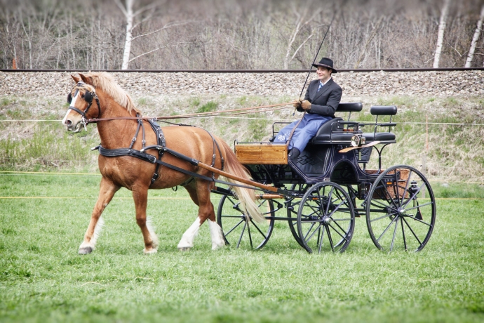 Ein flottes Gespann 
