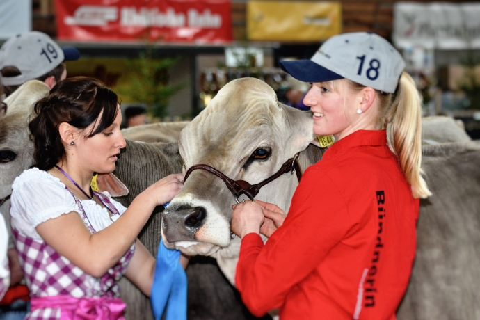 Letztes Feintuning vor es los geht!