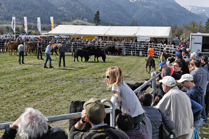 Im Attraktionenring ist immer etwas los. (© Ziit-la.ch) Im Attraktionenring ist immer etwas los.