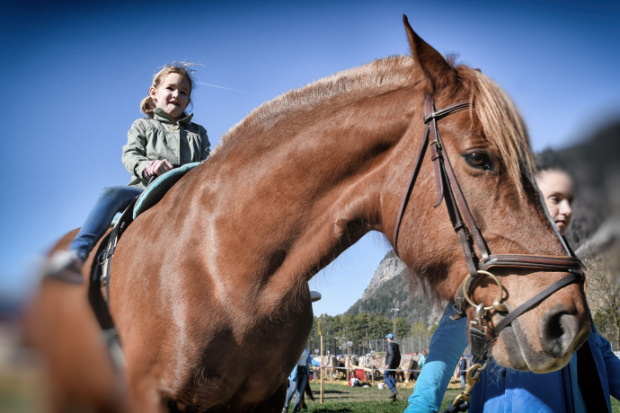 Reiten: Welches Mädchen kann da wiederstehen... (© Ziit-la.ch) Reiten: Welches Mädchen kann da wiederstehen...