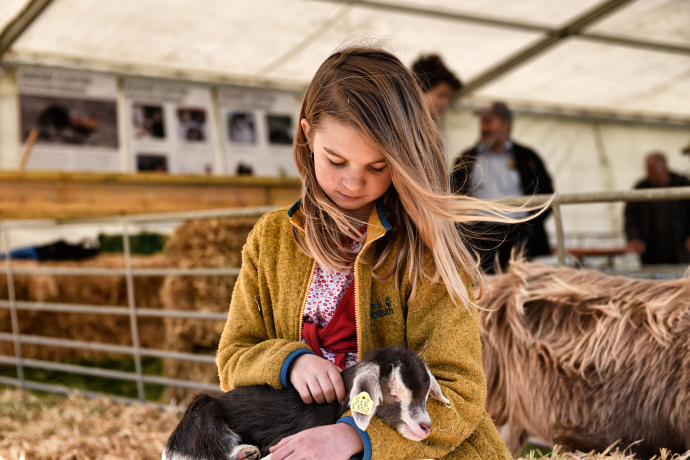 Die Ziege und das Mädchen: Da haben sich zwei gefunden.