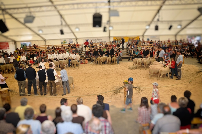 Interregiocup anlässlich Agrischa Ilanz (© BBV) Interregiocup anlässlich Agrischa Ilanz
