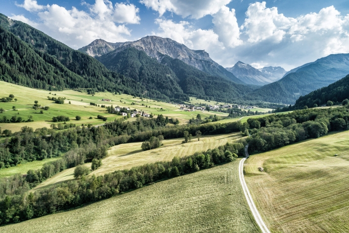 Blick ins sommerliche Münstertal (© Gaudenz Danuser) Blick ins sommerliche Münstertal