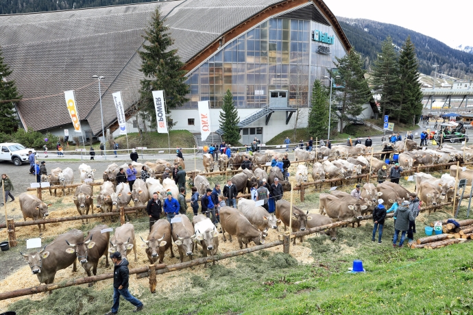 Hockey-Arena hinter Ausstellungs-Arena.