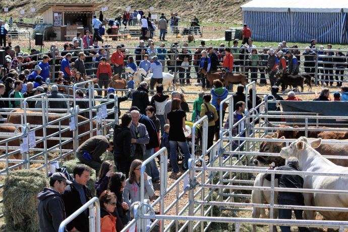 Viel los im und um den Attraktionenring.