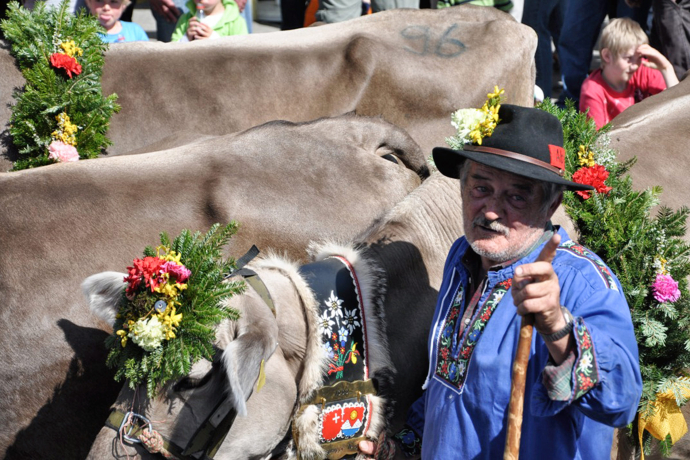 Festumzug agrischa Ilanz 2011 Bauer mit geschmückten Kühen
