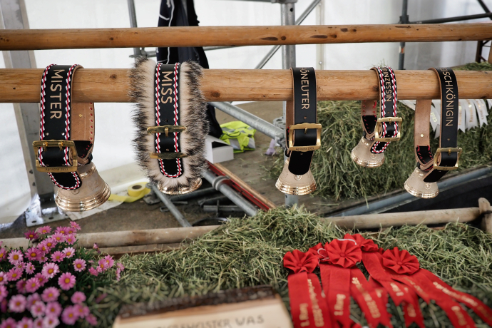 Regionale Ziegenaustellung agrischa 2023 (© Walter Schlegel) Regionale Ziegenaustellung agrischa 2023