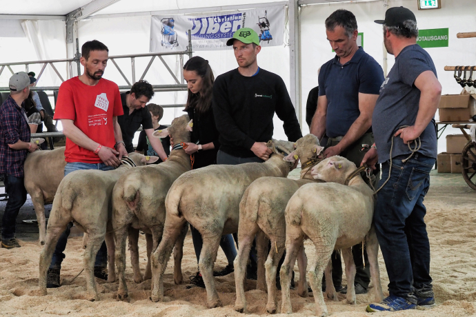 Agrischa 2023 WAS Betriebsmeisterschaft (© Walter Schlegel) Agrischa 2023 WAS Betriebsmeisterschaft