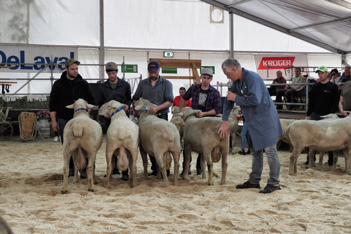 Agrischa 2023 WAS Betriebsmeisterschaft (© Walter Schlegel) Agrischa 2023 WAS Betriebsmeisterschaft