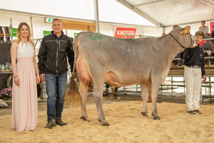 Junior Champion agrischa Ilanz 2023 (© Braunvieh Schweiz) Junior Champion agrischa Ilanz 2023