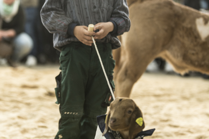 Lieblingstierwettbewerb agrischa 2023 (© Thomas Hablützel) Lieblingstierwettbewerb agrischa 2023