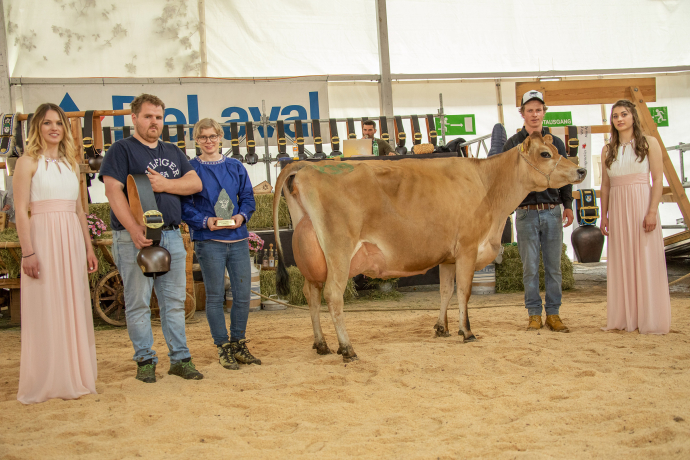 Rassensiegerin Jersey agrischa 2023 Ilanz (© Braunvieh Schweiz) Rassensiegerin Jersey agrischa 2023 Ilanz