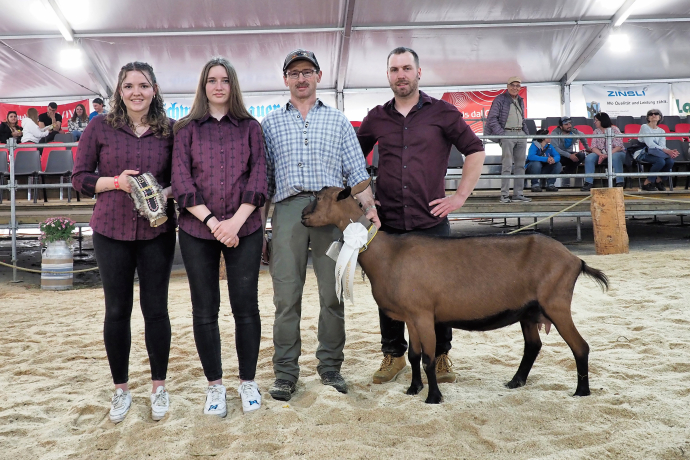Regionale Ziegenaustellung agrischa 2023 (© Walter Schlegel) Regionale Ziegenaustellung agrischa 2023