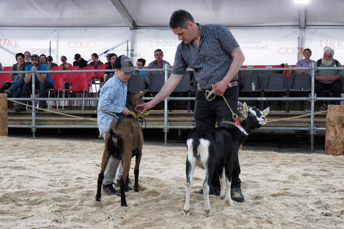 Regionale Ziegenaustellung agrischa 2023 (© Walter Schlegel) Regionale Ziegenaustellung agrischa 2023