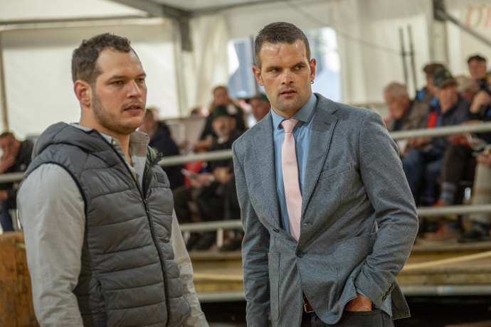 Milchviehausstellung Agrischa 2023 Ilanz Daniel und Christian Gisler (© Braunvieh Schweiz) Milchviehausstellung Agrischa 2023 Ilanz Daniel und Christian Gisler