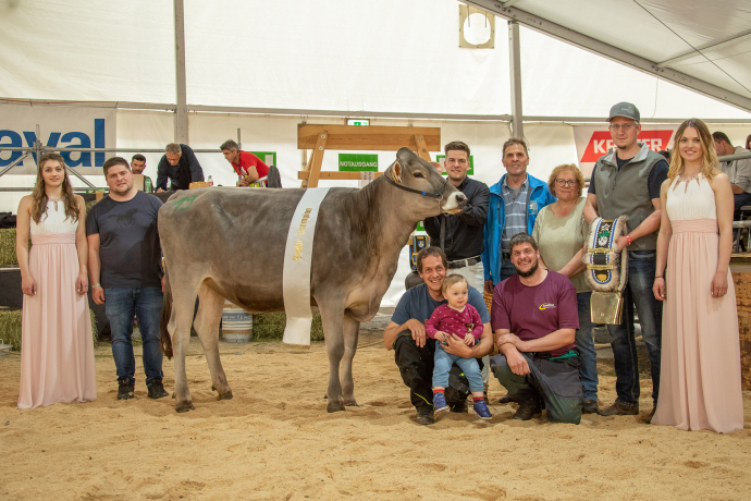 Rinder Champion agrischa 2023 Zinsli's Aldo Hailey (© Braunvieh Schweiz) Rinder Champion agrischa 2023 Zinsli's Aldo Hailey