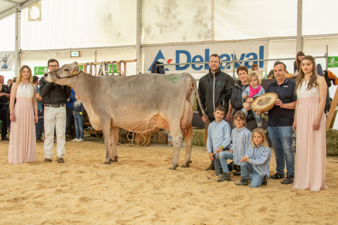 Schöneuter Ältere agrischa 2023 (© Braunvieh Schweiz) Schöneuter Ältere agrischa 2023
