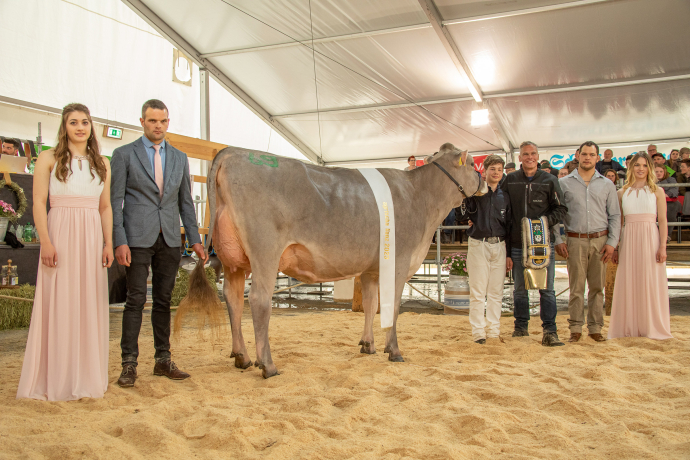 Schöneuter Junge agrischa 2023 (© Braunvieh Schweiz) Schöneuter Junge agrischa 2023