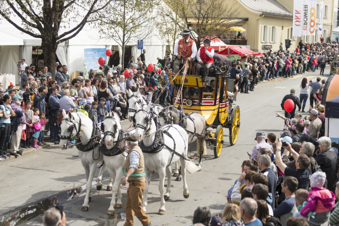 Gotthard Pferdepost am Festumzug in Ilanz (© Thomas Hablützel) Gotthard Pferdepost am Festumzug in Ilanz