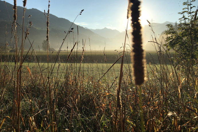 Blick über den Grüscher Sand. (© Prezis GmbH) Blick über den Grüscher Sand.