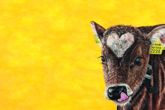 Key Visual agrischa 2024 von Aurelia Patigler Davos Monstein