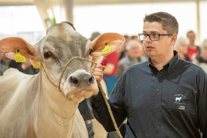 Die Jungzüchter unterstützen beim Vorführen.