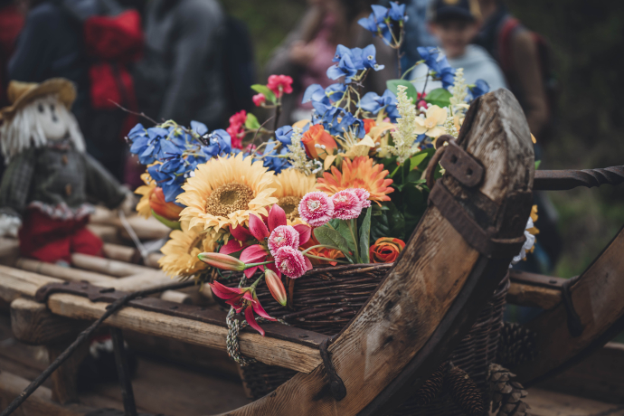 Alpaufzug agrischa 2024 Grüsch (© Tina Gerber) Alpaufzug agrischa 2024 Grüsch