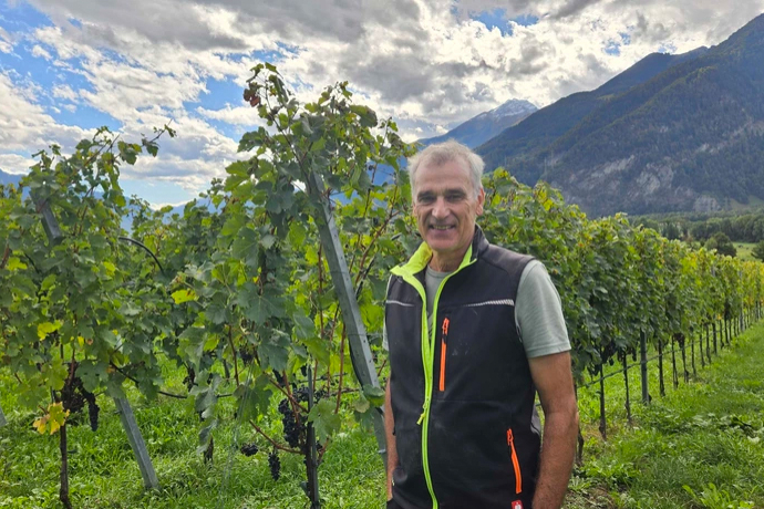 Ueli Liesch Weingut Liesch