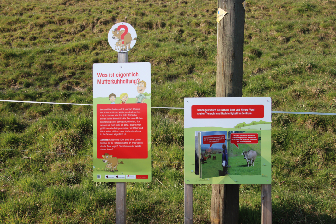 Erlebnisweg Beef (© Mutterkuh Schweiz) Erlebnisweg Mutterkuh Schweiz