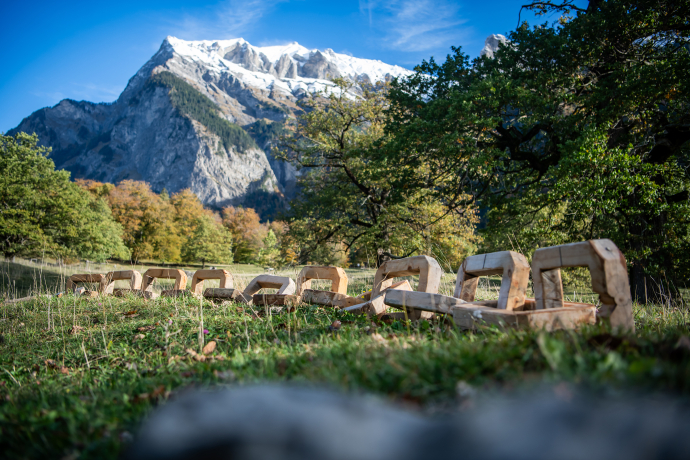 Holzkette vor dem Falknis
