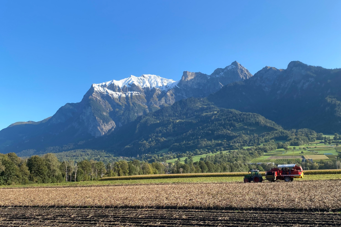 Kartoffelernte im Bündner Rheintal (© C. Brunnschweiler) Kartoffelernte im Bündner Rheintal